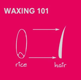 Waxing 101 pre-wax guide graphic from Wax & Wellbeing
